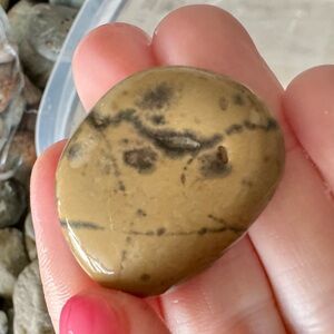 ✨Manganese Dendrites Beach Rocks✨